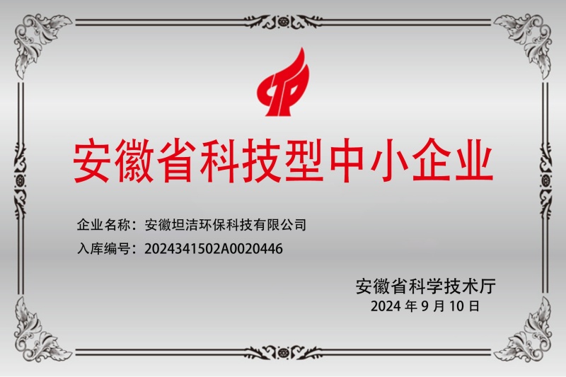 林芝安徽科技型中小企业证书